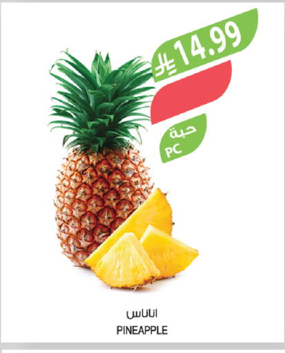Pineapple available at Farm  in KSA, Saudi Arabia, Saudi - Al-Kharj