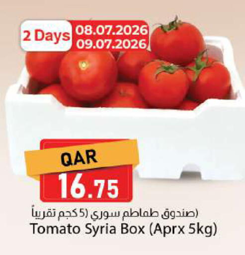 Tomato from Syria available at دانا ماركت in قطر - الدوحة