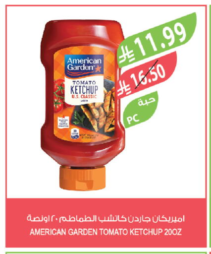 Tomato available at Farm  in KSA, Saudi Arabia, Saudi - Tabuk