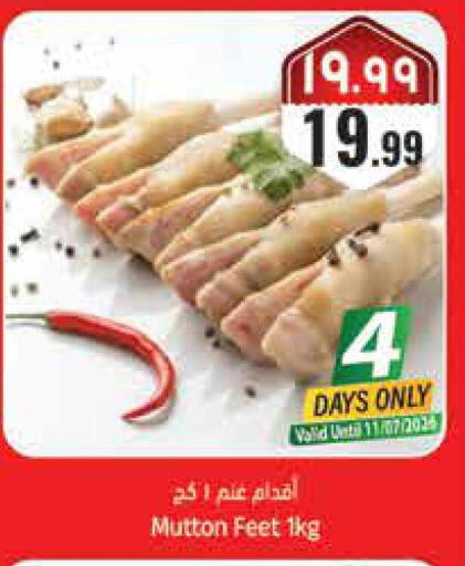 available at ستي فلاور in مملكة العربية السعودية, السعودية, سعودية - حائل‎