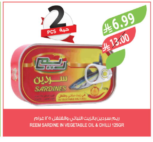 Chilli available at Farm  in KSA, Saudi Arabia, Saudi - Al-Kharj
