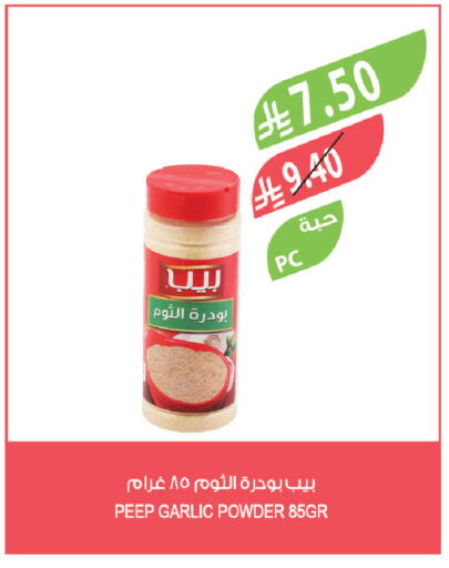 Garlic available at Farm  in KSA, Saudi Arabia, Saudi - Al-Kharj