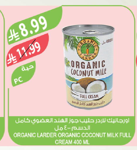 Coconut available at Farm  in KSA, Saudi Arabia, Saudi - Tabuk