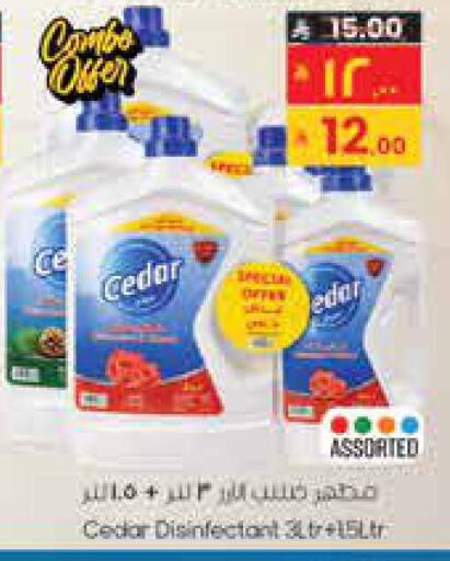 available at City Flower in KSA, Saudi Arabia, Saudi - Hail