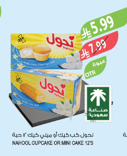 Vanilla available at Farm  in KSA, Saudi Arabia, Saudi - Tabuk