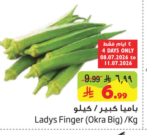 Okra available at Layan Hyper in KSA, Saudi Arabia, Saudi - Al Khobar