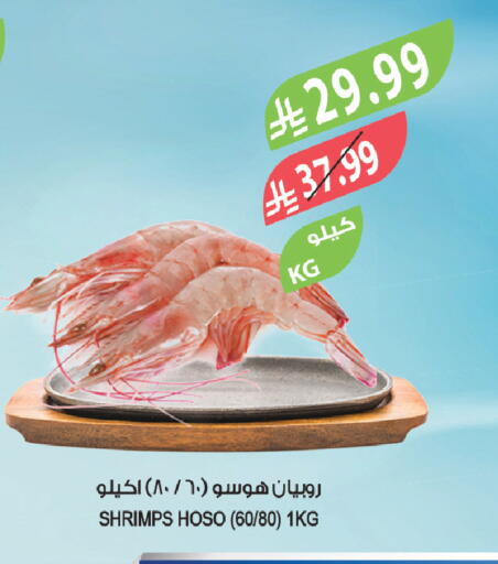 available at Farm  in KSA, Saudi Arabia, Saudi - Al-Kharj