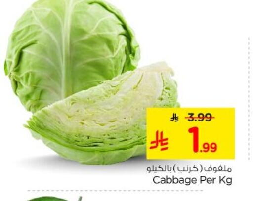 Cabbage available at Nesto in KSA, Saudi Arabia, Saudi - Al-Kharj