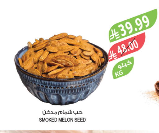 Melon available at Farm  in KSA, Saudi Arabia, Saudi - Al-Kharj