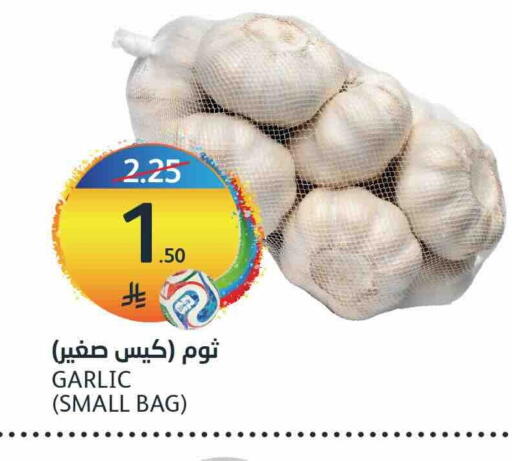 Garlic available at AlJazera Shopping Center in KSA, Saudi Arabia, Saudi - Riyadh