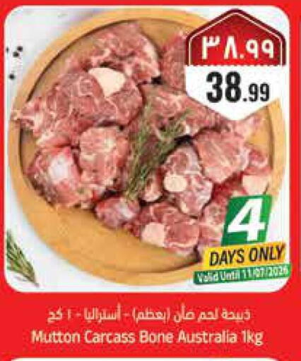 available at ستي فلاور in مملكة العربية السعودية, السعودية, سعودية - حائل‎