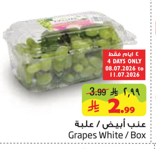 Grapes available at Layan Hyper in KSA, Saudi Arabia, Saudi - Al Khobar