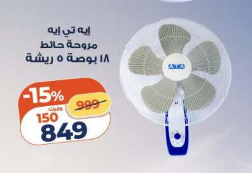 available at كازيون in Egypt - القاهرة