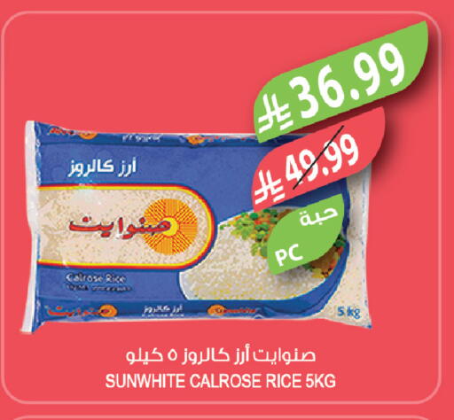available at Farm  in KSA, Saudi Arabia, Saudi - Tabuk