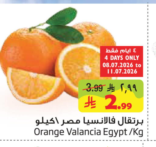 Orange from Valancia Egypt available at Layan Hyper in KSA, Saudi Arabia, Saudi - Al Khobar