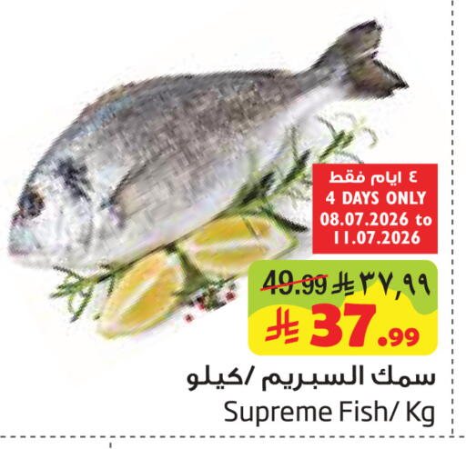 available at Layan Hyper in KSA, Saudi Arabia, Saudi - Al Khobar