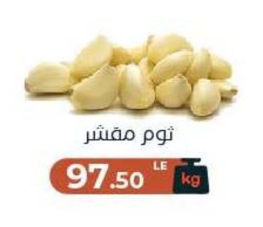 available at Arafa Market in Egypt - Cairo