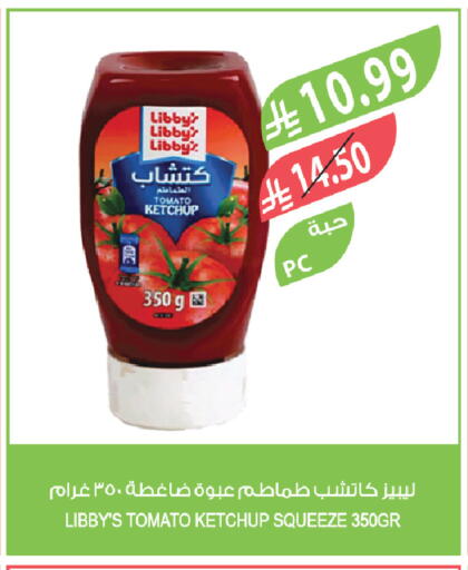 Tomato available at Farm  in KSA, Saudi Arabia, Saudi - Tabuk
