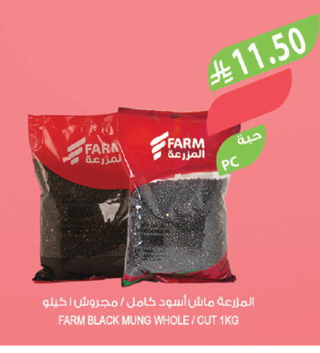 available at Farm  in KSA, Saudi Arabia, Saudi - Tabuk