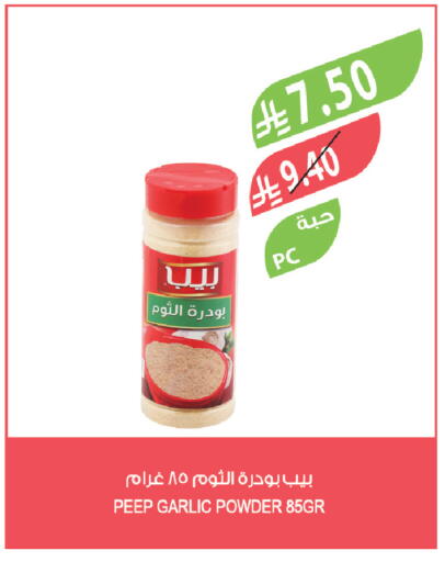Garlic available at Farm  in KSA, Saudi Arabia, Saudi - Tabuk