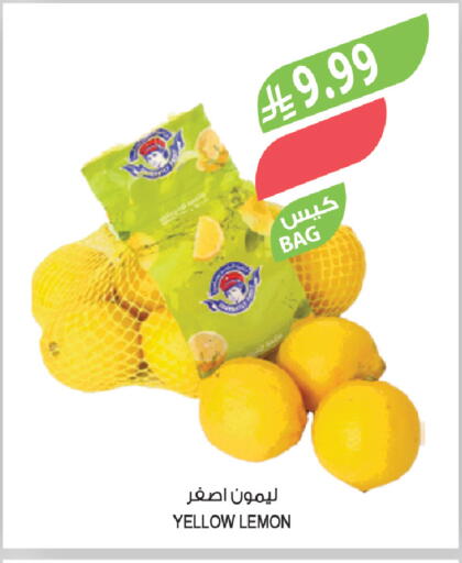 Lemon available at Farm  in KSA, Saudi Arabia, Saudi - Tabuk