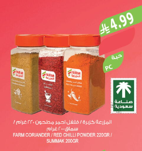 Coriander Red chilli available at Farm  in KSA, Saudi Arabia, Saudi - Tabuk