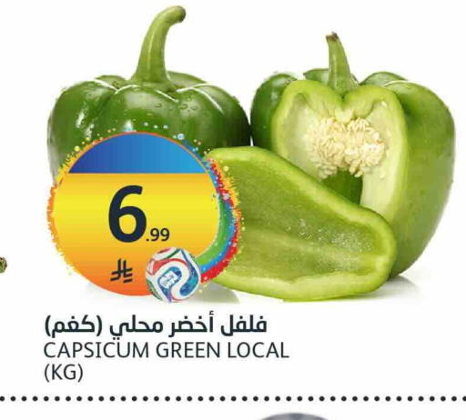 Capsicum available at AlJazera Shopping Center in KSA, Saudi Arabia, Saudi - Riyadh