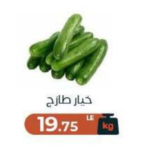 available at Arafa Market in Egypt - Cairo
