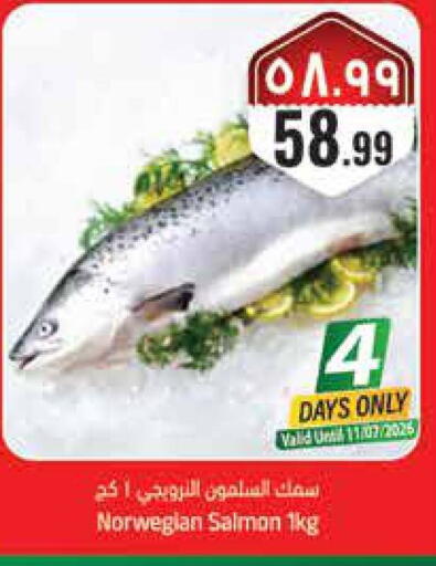 available at ستي فلاور in مملكة العربية السعودية, السعودية, سعودية - حائل‎