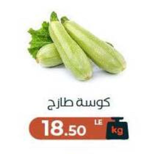 available at Arafa Market in Egypt - Cairo