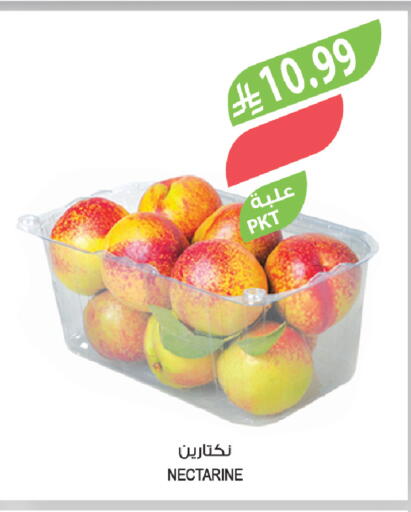 Nectarine available at Farm  in KSA, Saudi Arabia, Saudi - Al-Kharj