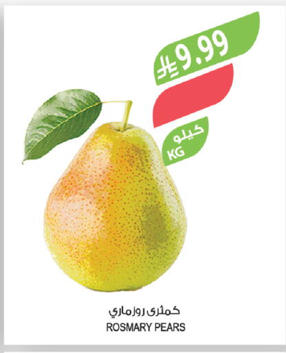available at Farm  in KSA, Saudi Arabia, Saudi - Tabuk