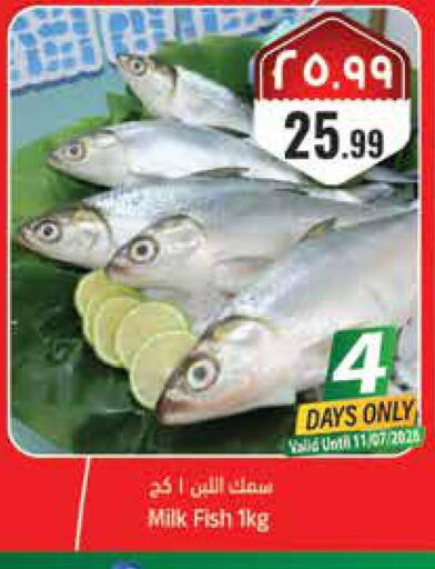 available at City Flower in KSA, Saudi Arabia, Saudi - Hail