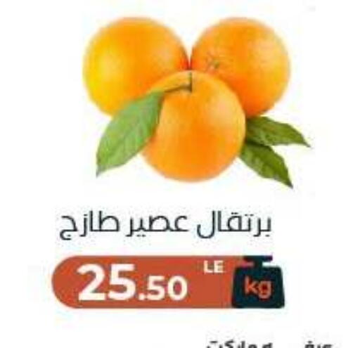 available at Arafa Market in Egypt - Cairo