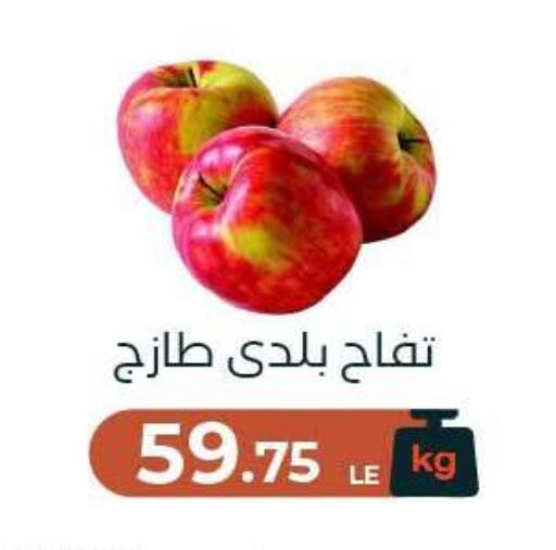available at Arafa Market in Egypt - Cairo