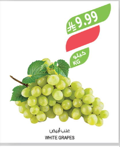 Grapes available at Farm  in KSA, Saudi Arabia, Saudi - Al-Kharj