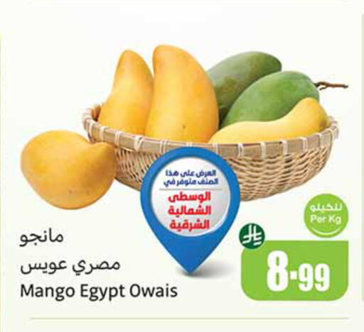 Mango from Egypt available at أسواق عبد الله العثيم in مملكة العربية السعودية, السعودية, سعودية - الخرج