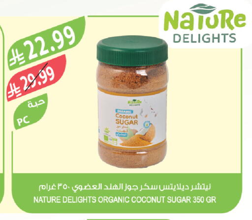 Coconut available at Farm  in KSA, Saudi Arabia, Saudi - Tabuk