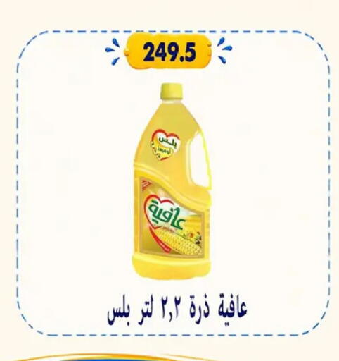 available at Hyper Samy Salama Sons in Egypt - Cairo