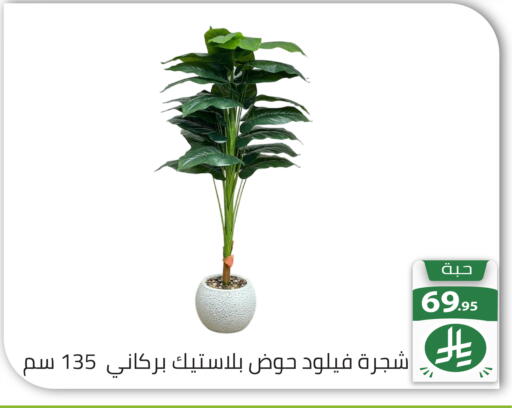 available at Family Discount in KSA, Saudi Arabia, Saudi - Riyadh