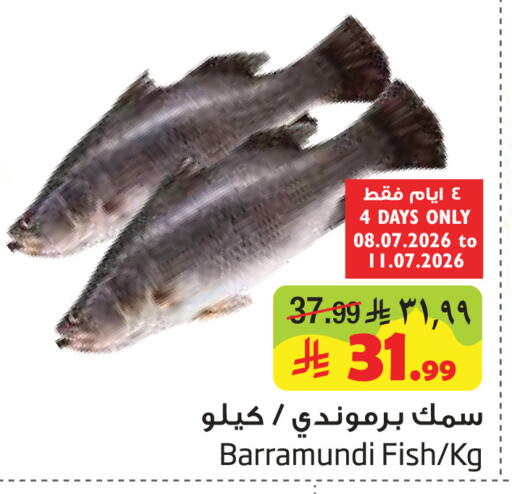 available at Layan Hyper in KSA, Saudi Arabia, Saudi - Al Khobar