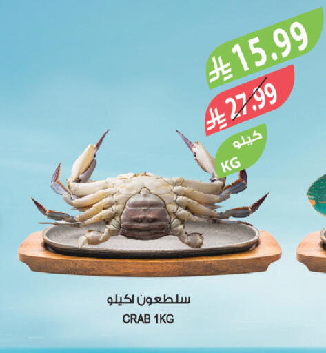 available at Farm  in KSA, Saudi Arabia, Saudi - Tabuk