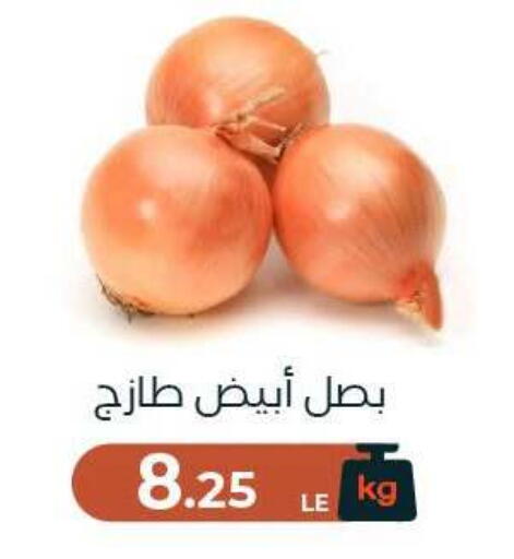 available at Arafa Market in Egypt - Cairo