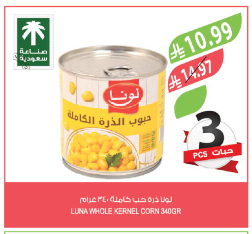 available at Farm  in KSA, Saudi Arabia, Saudi - Al-Kharj