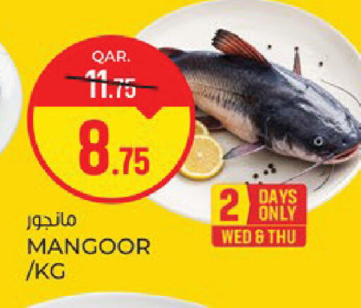 available at باريس هايبرماركت in قطر - الدوحة