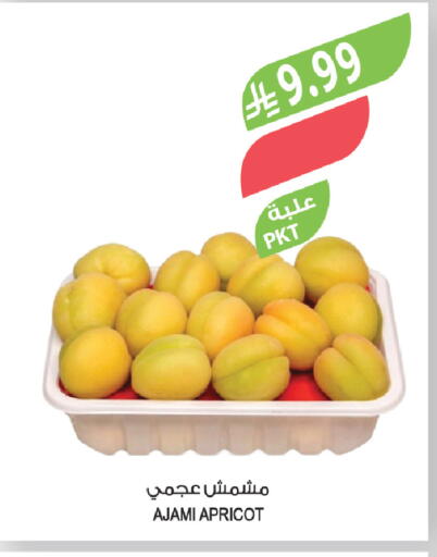 Apricot available at Farm  in KSA, Saudi Arabia, Saudi - Al-Kharj