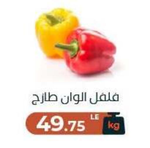 available at Arafa Market in Egypt - Cairo