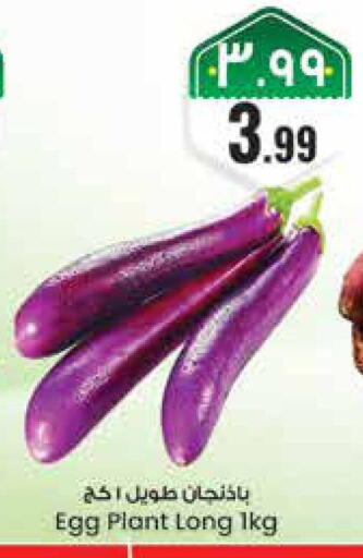 available at City Flower in KSA, Saudi Arabia, Saudi - Riyadh