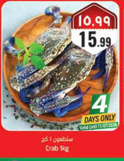 available at City Flower in KSA, Saudi Arabia, Saudi - Hail