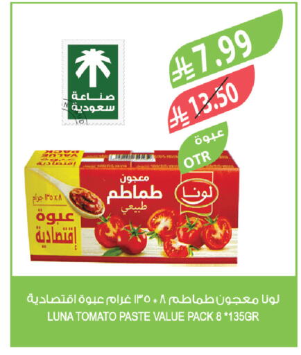 Tomato available at Farm  in KSA, Saudi Arabia, Saudi - Tabuk
